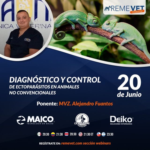 ¡Te invitamos el día de hoy a nuestro webinar gratuito! 🐾 

Impartido por el Dr. Alejandro Fuantos
TEMA: Diagnóstico y control de ectoparásitos en animales no convencionales.

📅 HOY lunes 20 de junio
⏰ 8:30pm 

¡REGISTRATE YA! 
💻 https://forms.gle/vX8F5tVbZqGS7Xr4A

¡Te esperamos! 

Webinar en colaboración con DEIKO  y COMVEPE✔
