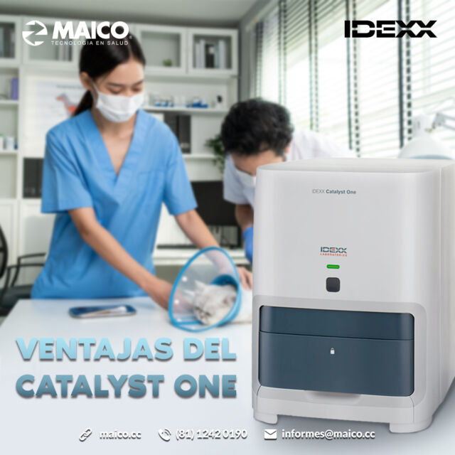 Ventajas del Analizador Bioquímico Catalyst One 😉

Las más completa y avanzada plataforma para pruebas de Bioquímica, Eletrólitos e Inmunoensayos para todas sus necesidades diagnósticas:

✔ Amplio menú posee 34 parámetros.
✔ Flexibilidad de paneles de análisis personalizados o pruebas individuales.
✔ Flujo de trabajo simplificado.
✔ Resultados inmediatos durante la consulta, a partir de una única muestra.

Para más información: 📲 https://wa.link/0w5huq