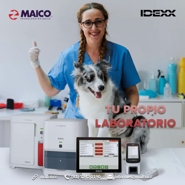 ¡Transforma Tu Práctica con Tu Propio Laboratorio! 🤩

En MAICO, entendemos la importancia de ofrecer atención de calidad sin demoras. ¿Te gustaría recibir resultados precisos de pruebas en minutos? ¿Eliminar la espera y los costos asociados con envíos a laboratorios externos?

Descubre nuestra gama de analizadores internos diseñados para clínicas veterinarias de todos los tamaños. Con IDEXX, puedes:

✔ Obtener resultados rápidos y confiables para tomar decisiones de tratamiento de manera eficiente.
✔ Ahorrar tiempo y dinero al eliminar la necesidad de enviar muestras a laboratorios externos.
✔ Brindar una atención más completa y personalizada a tus pacientes.

Además, ofrecemos soporte técnico y capacitación para que aproveches al máximo tus analizadores. ✅

¡Haz clic para descubrir cómo tener tu propio laboratorio interno y mejoremos la salud de los animales juntos!
📲 https://wa.link/ts1c6f