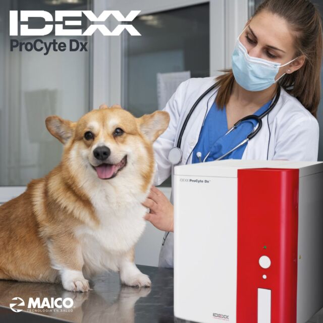 ProCyte Dx, porque la información debe ser precisa y en el momento que la necesites.😉

✅Con una calidad de resultados equivalente a la de los laboratorios de referencia, con el analizador Procyte Dx podrás identificar los cambios más sutiles en el hemograma.

✅Combina las excelentes tecnologías ya probadas de Citometría de flujo láser y fluorescencia óptica junto con la de impedancia de flujo laminar.

✅En su cámara de conteo se analiza cada célula utilizando esta metodología minimizando radicalmente cualquier tipo de error de la máquina.

⏱Obtén toda la información que necesitas, en minutos.

Clic para más información: 📲
https://wa.link/vakcer