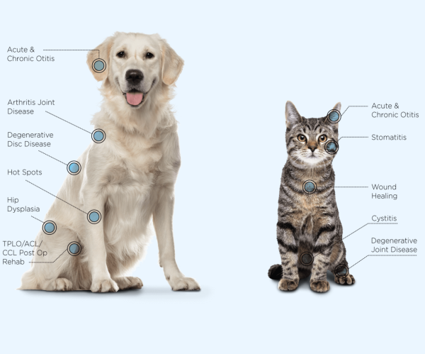 MY PET LASER 2.0 - Image 3