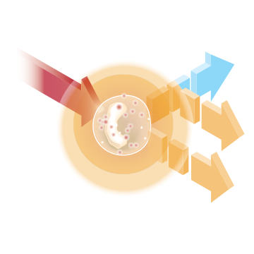 procyte-dx-optical-fluorescence.png__360x360_subsampling-2