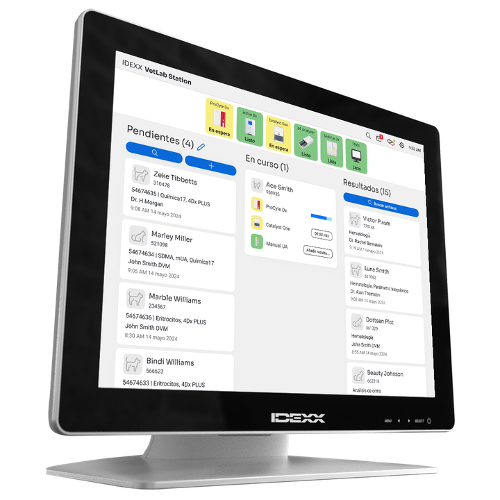 ivls-carousel-hero-es.png__720x720_crop_subsampling-2