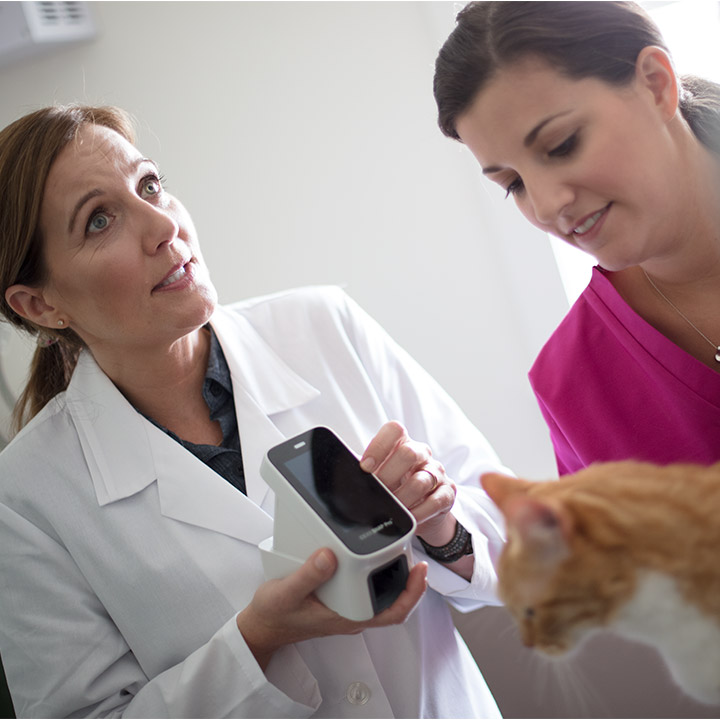 vet-using-snap-pro-cat